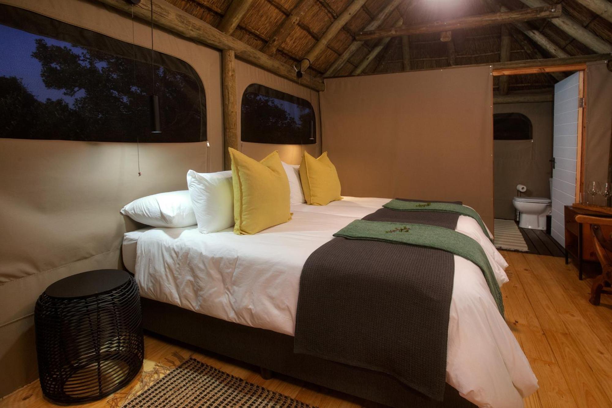 Addo Elephant Safari - Bellevue Forest Reserve *