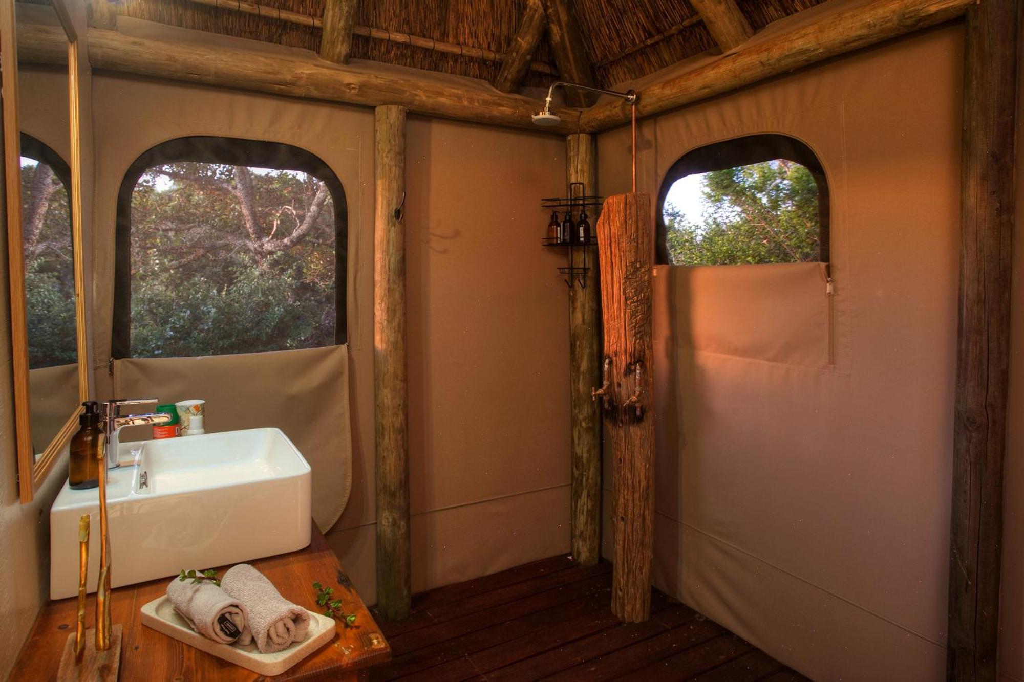 Addo Elephant Safari - Bellevue Forest Reserve * Paterson