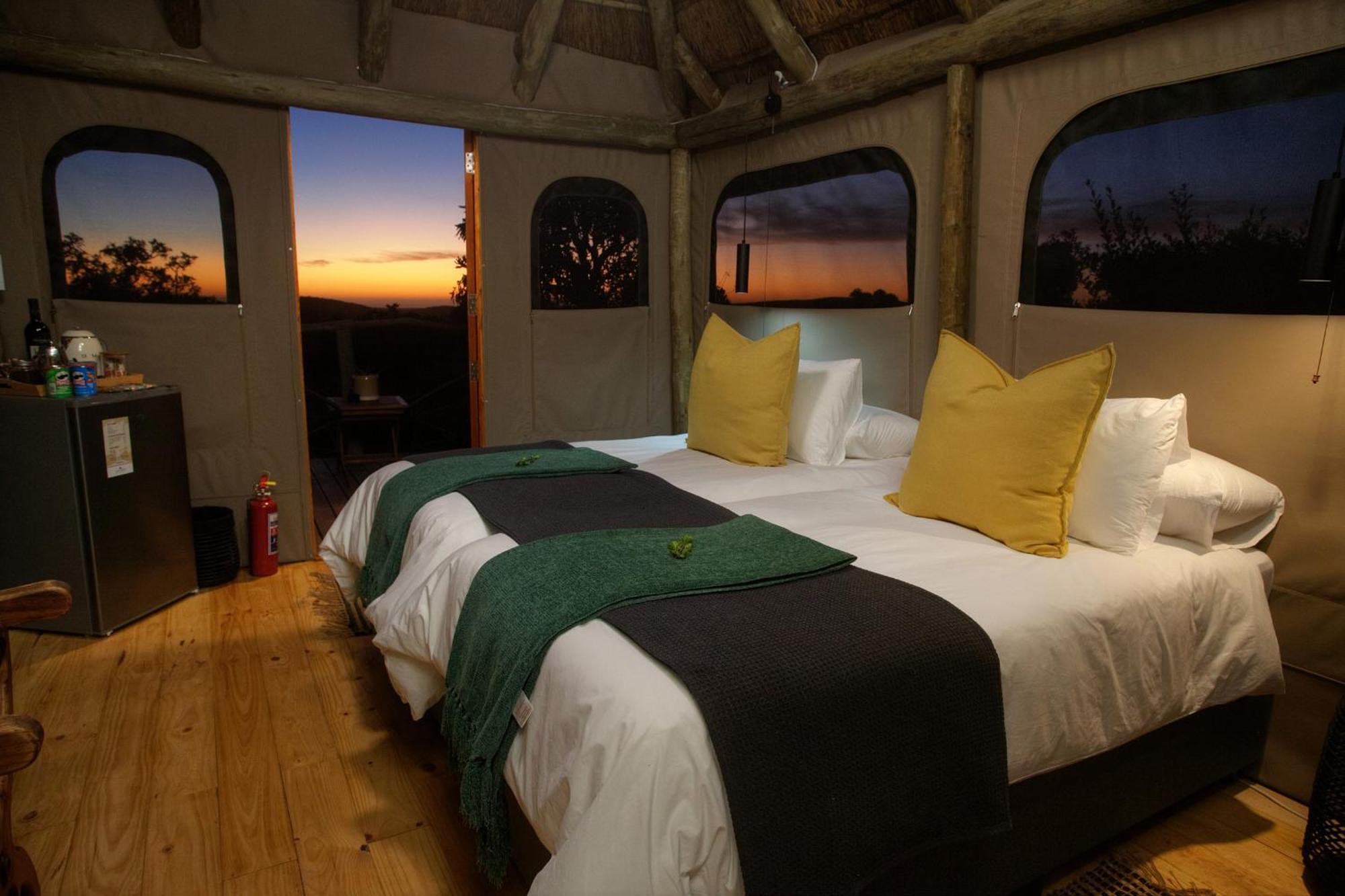 Lodge Addo Elephant Safari - Bellevue Forest Reserve