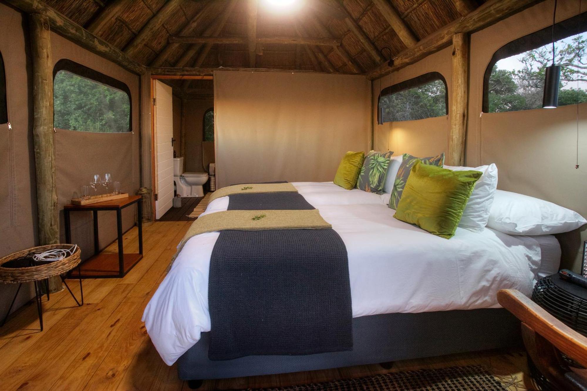 Addo Elephant Safari - Bellevue Forest Reserve Lodge