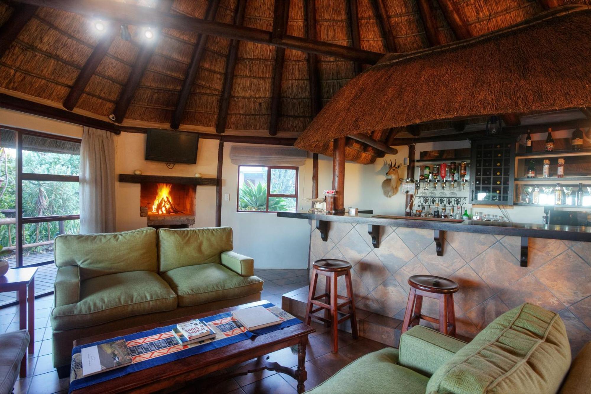 Addo Elephant Safari - Bellevue Forest Reserve