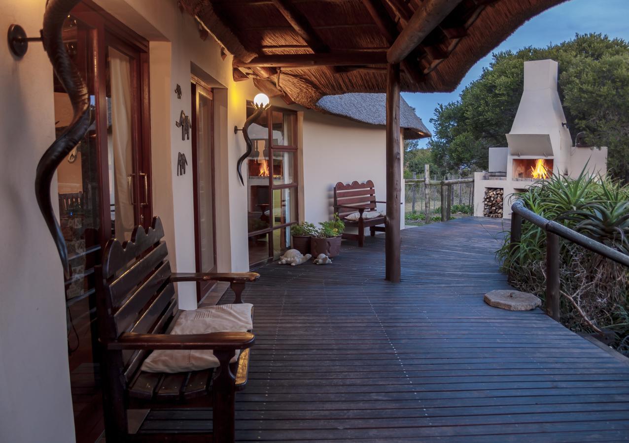 Lodge Addo Elephant Safari - Bellevue Forest Reserve Paterson