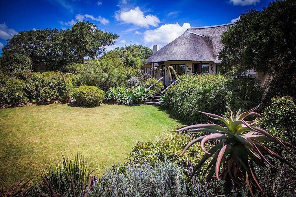 Lodge Addo Elephant Safari - Bellevue Forest Reserve *
