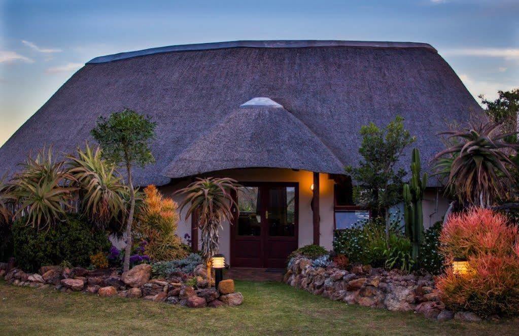 Addo Elephant Safari - Bellevue Forest Reserve * Paterson