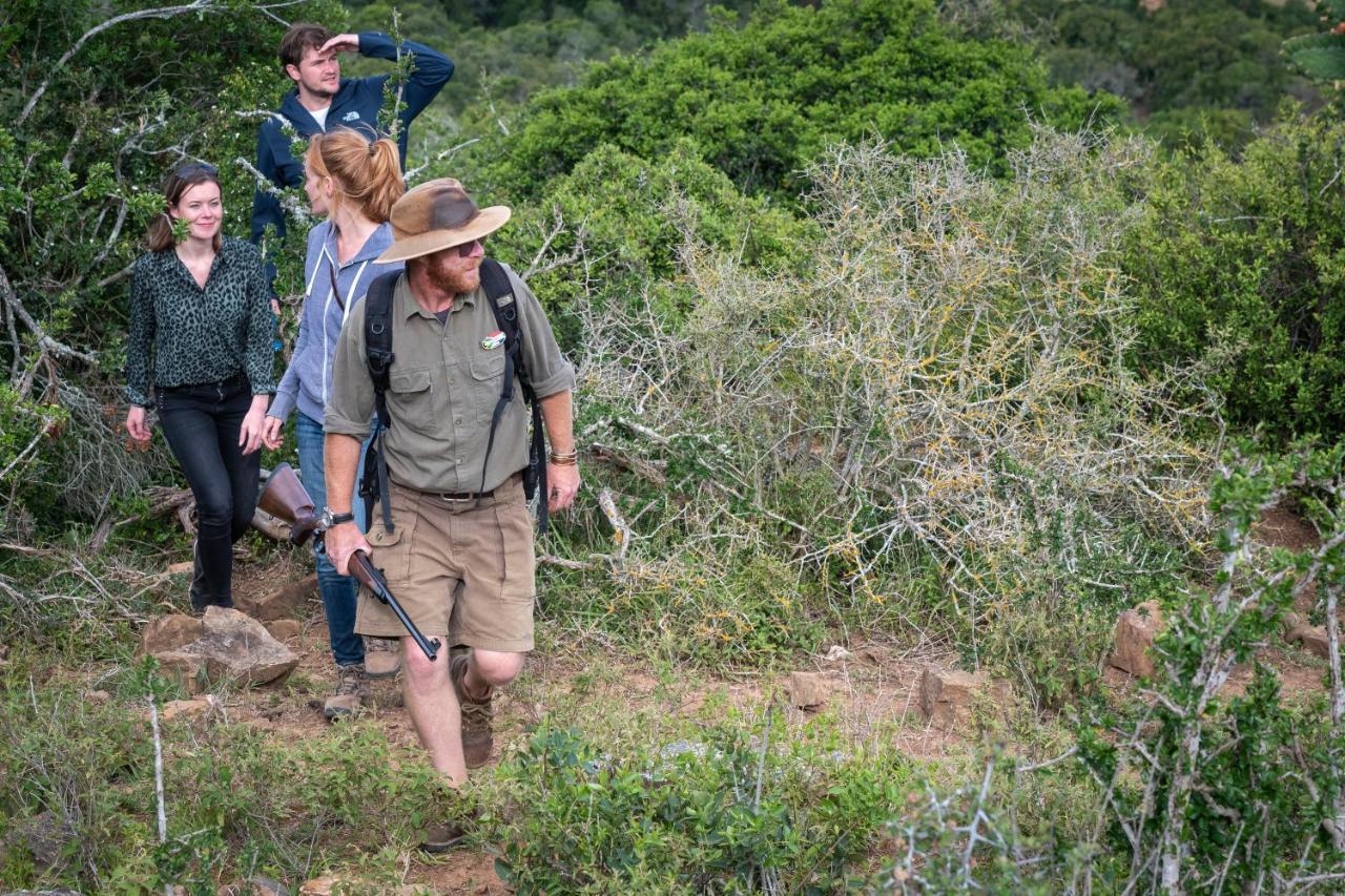 Addo Elephant Safari - Bellevue Forest Reserve