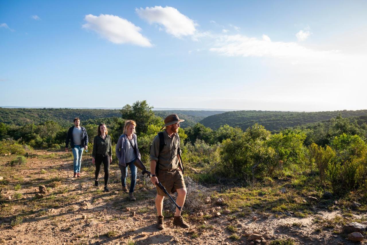 Addo Elephant Safari - Bellevue Forest Reserve Lodge