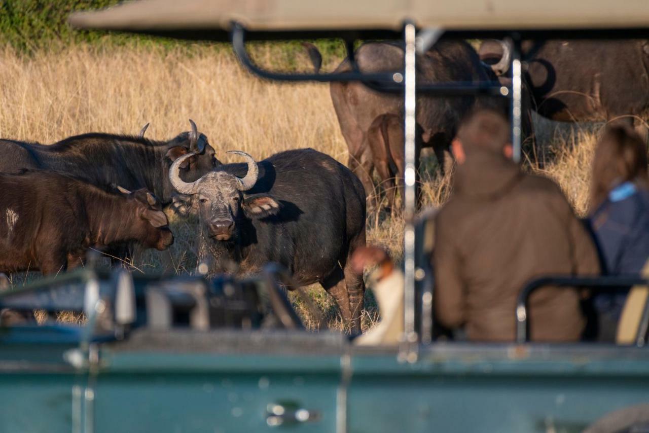 Lodge Addo Elephant Safari - Bellevue Forest Reserve *