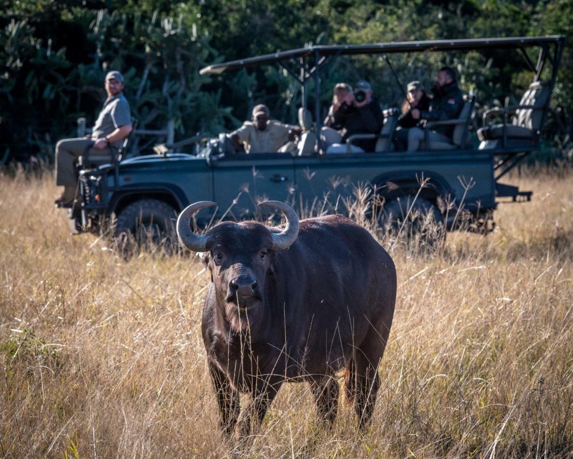 Addo Elephant Safari - Bellevue Forest Reserve