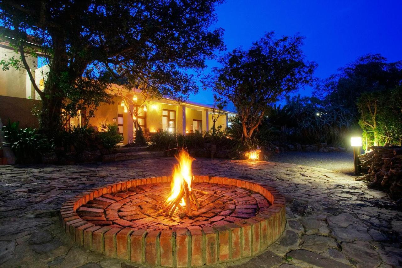 Addo Elephant Safari - Bellevue Forest Reserve Lodge