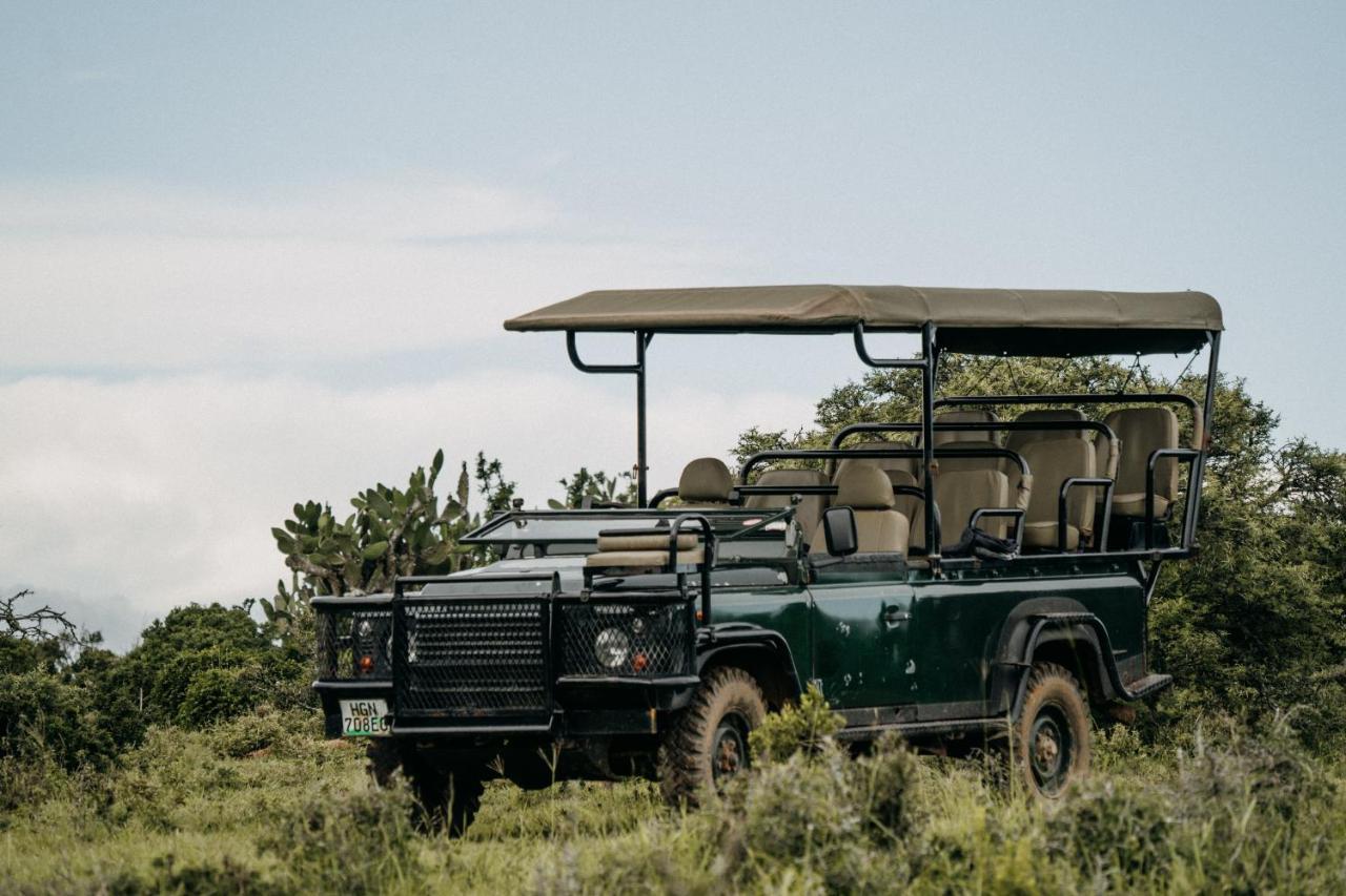 Lodge Addo Elephant Safari - Bellevue Forest Reserve