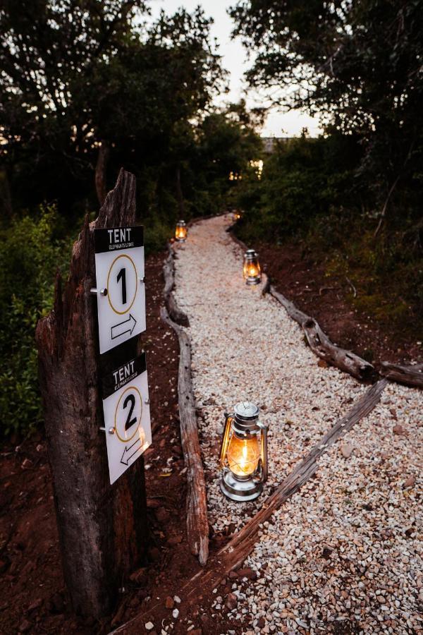 Addo Elephant Safari - Bellevue Forest Reserve Lodge